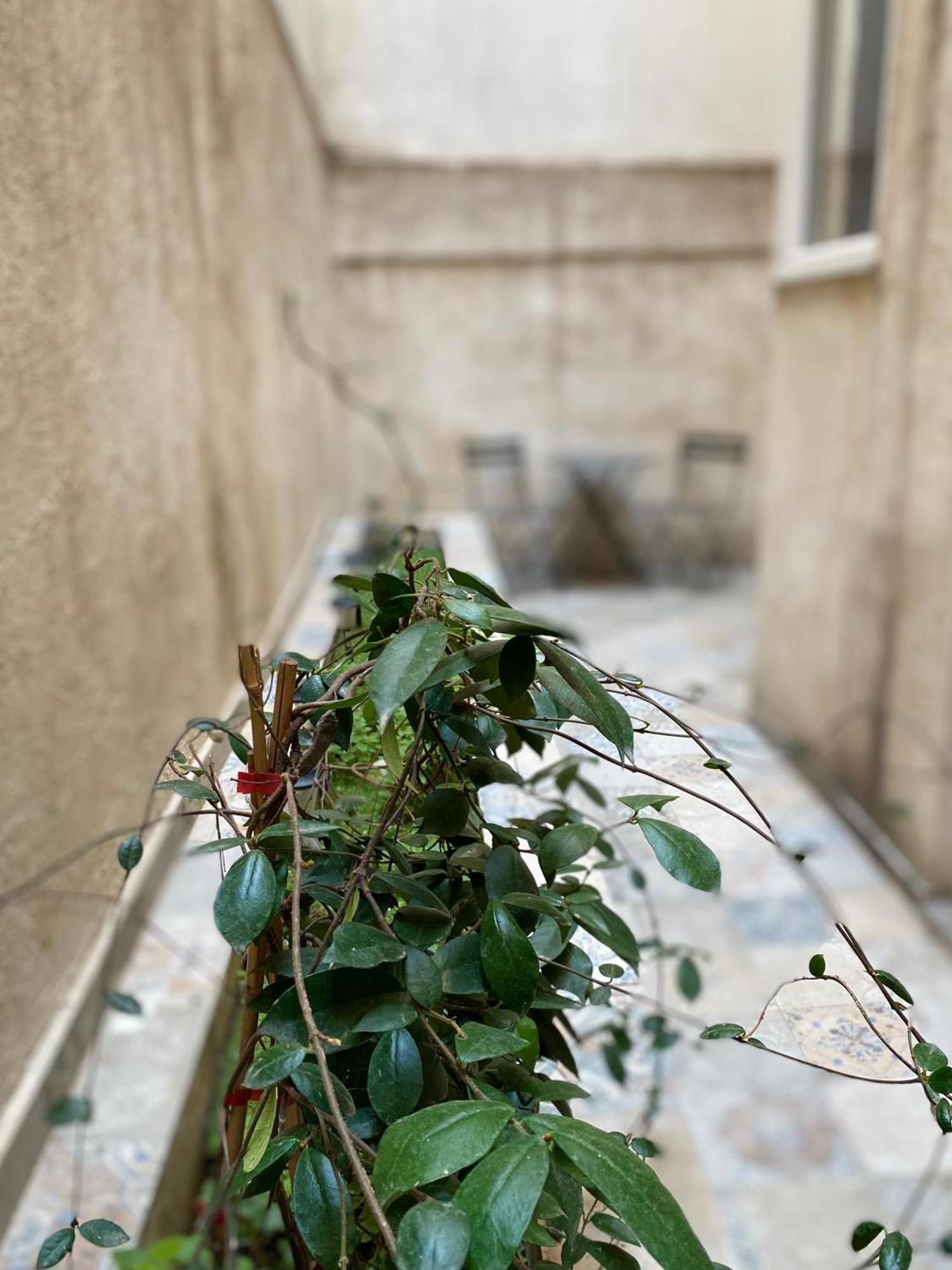 A Place 4 U Under Acropolis Apartment Athens Luaran gambar